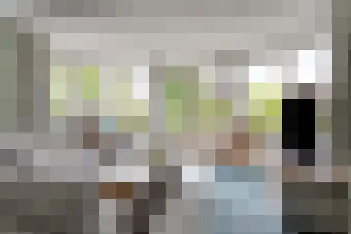 Vogelzwin 20 Sneek thumbnail 15