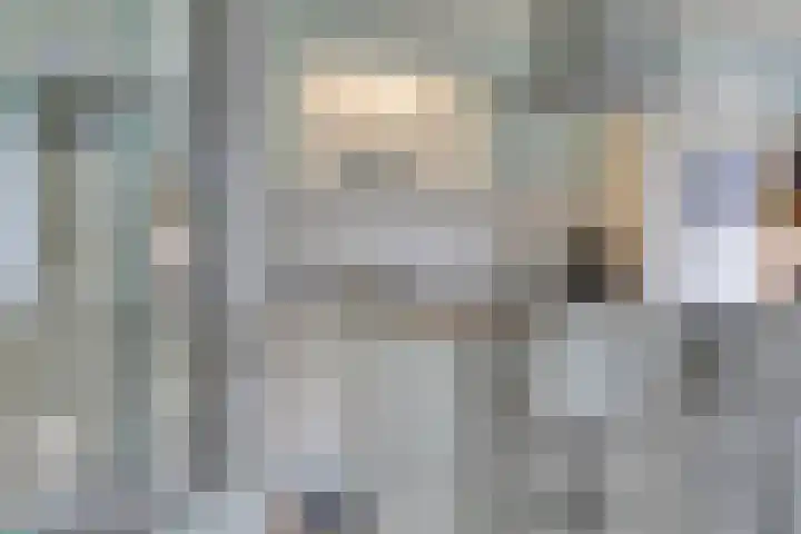 Vogelzwin 20 Sneek thumbnail 17
