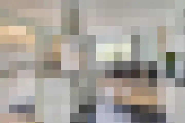 Vogelzwin 20 Sneek thumbnail 18