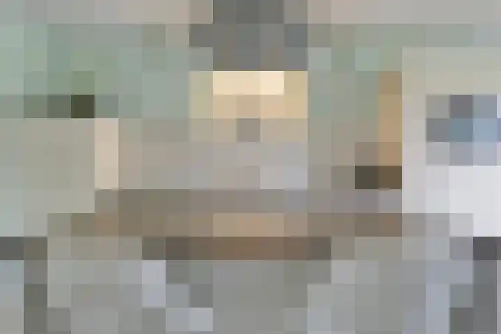 Vogelzwin 20 Sneek thumbnail 19