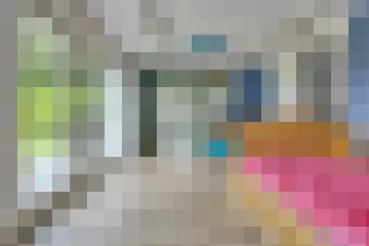 Vogelzwin 20 Sneek thumbnail 20