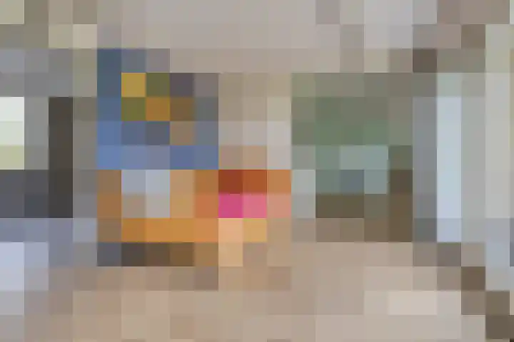 Vogelzwin 20 Sneek thumbnail 21