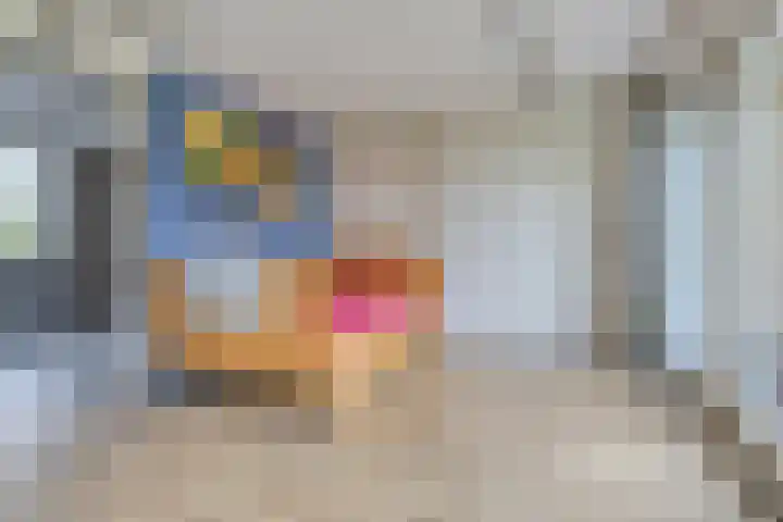 Vogelzwin 20 Sneek thumbnail 22