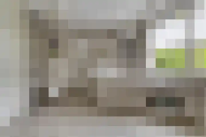 Vogelzwin 20 Sneek thumbnail 23