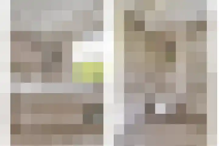 Vogelzwin 20 Sneek thumbnail 24