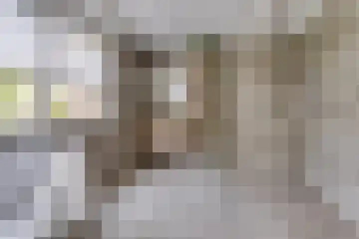 Vogelzwin 20 Sneek thumbnail 25