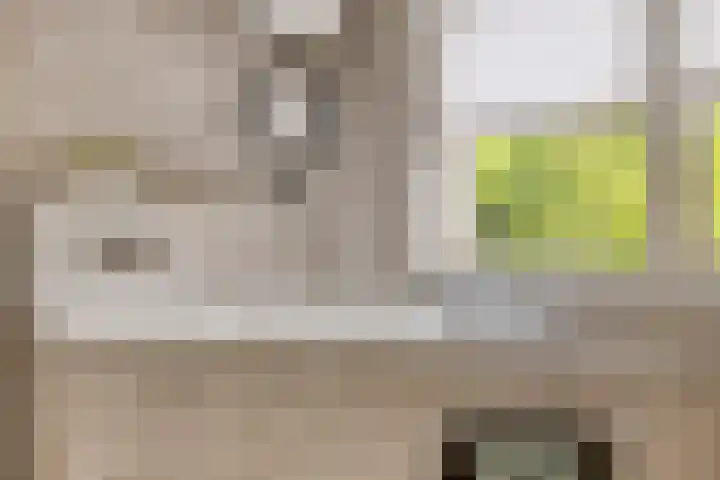 Vogelzwin 20 Sneek thumbnail 27
