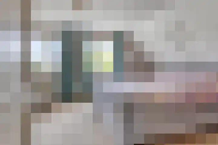 Vogelzwin 20 Sneek thumbnail 32
