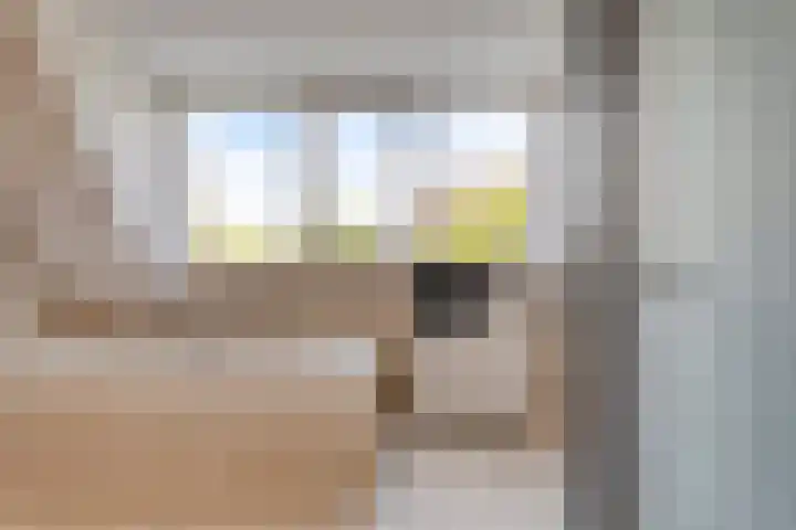 Vogelzwin 20 Sneek thumbnail 34