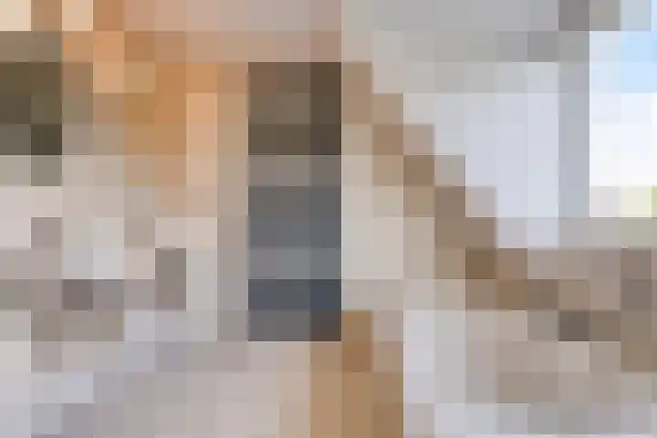 Vogelzwin 20 Sneek thumbnail 35