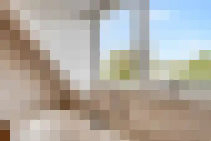 Vogelzwin 20 Sneek thumbnail 37