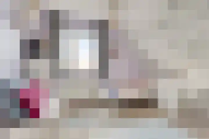 Vogelzwin 20 Sneek thumbnail 38