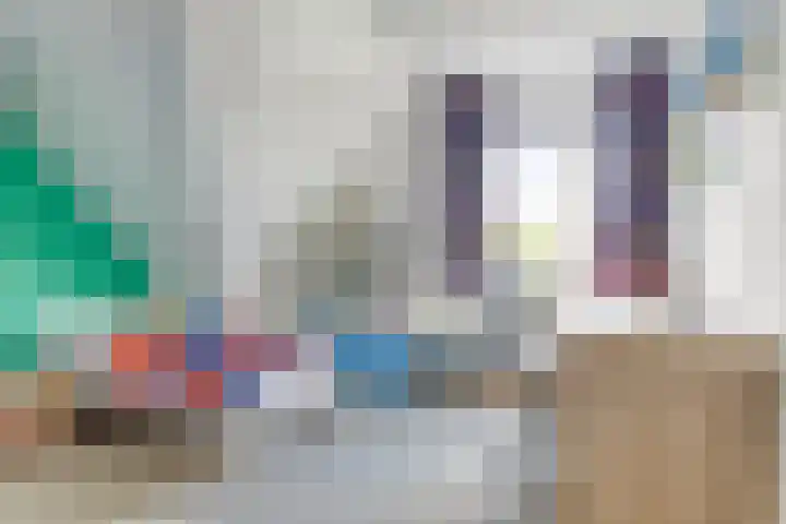 Vogelzwin 20 Sneek thumbnail 39