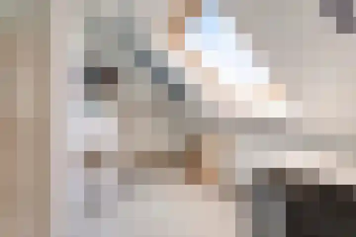 Vogelzwin 20 Sneek thumbnail 40