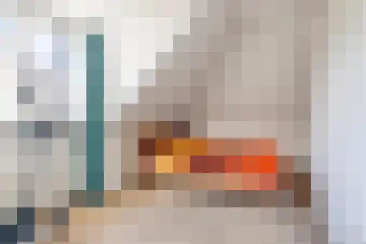 Vogelzwin 20 Sneek thumbnail 41
