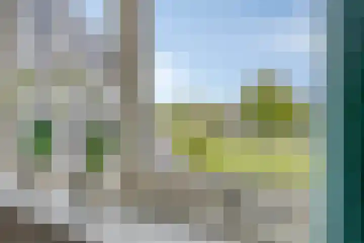 Vogelzwin 20 Sneek thumbnail 43