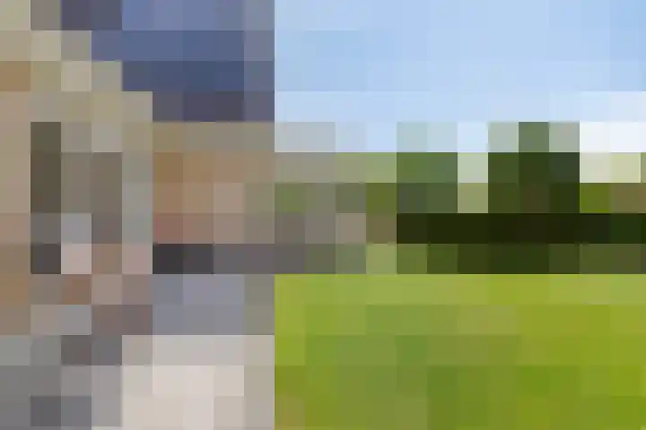 Vogelzwin 20 Sneek thumbnail 44