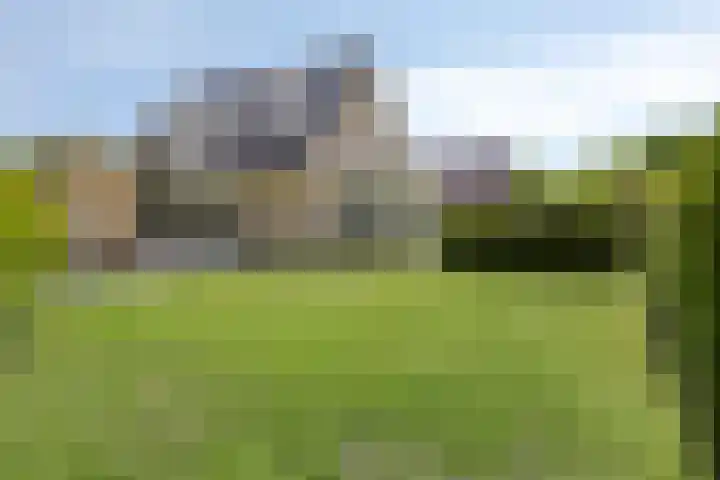 Vogelzwin 20 Sneek thumbnail 45