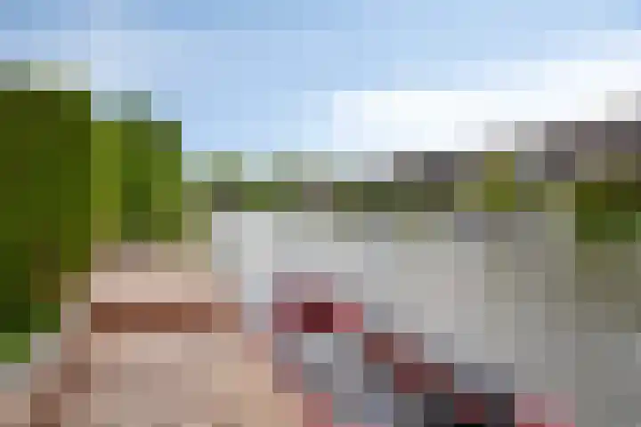 Vogelzwin 20 Sneek thumbnail 46