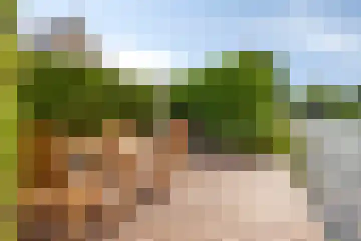 Vogelzwin 20 Sneek thumbnail 48