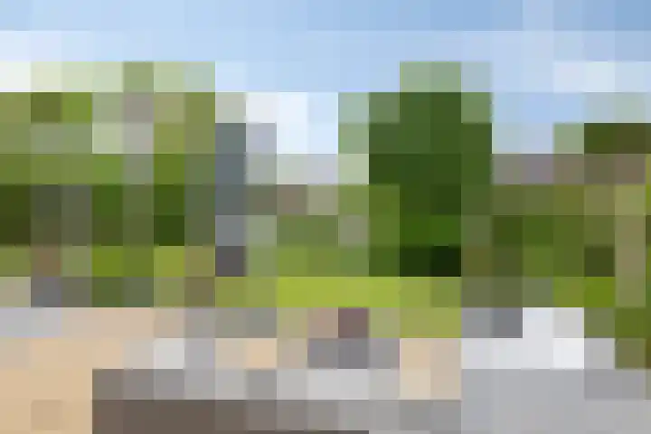 Vogelzwin 20 Sneek thumbnail 49