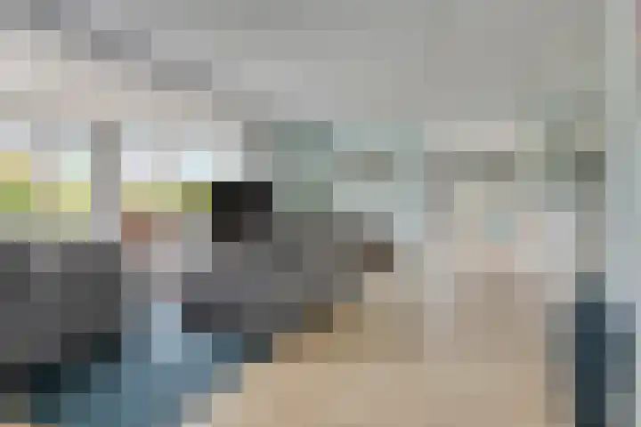 Vogelzwin 20 Sneek thumbnail 5