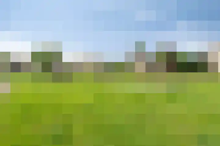 Vogelzwin 20 Sneek thumbnail 51