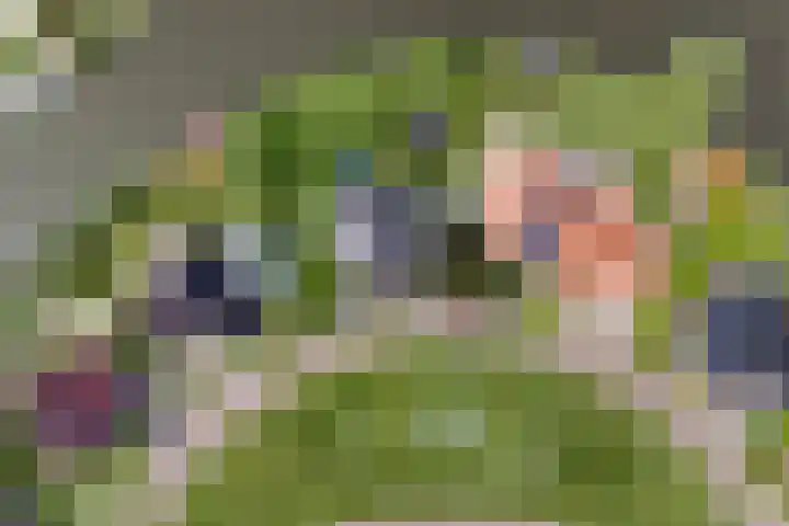 Vogelzwin 20 Sneek thumbnail 53