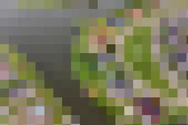 Vogelzwin 20 Sneek thumbnail 54