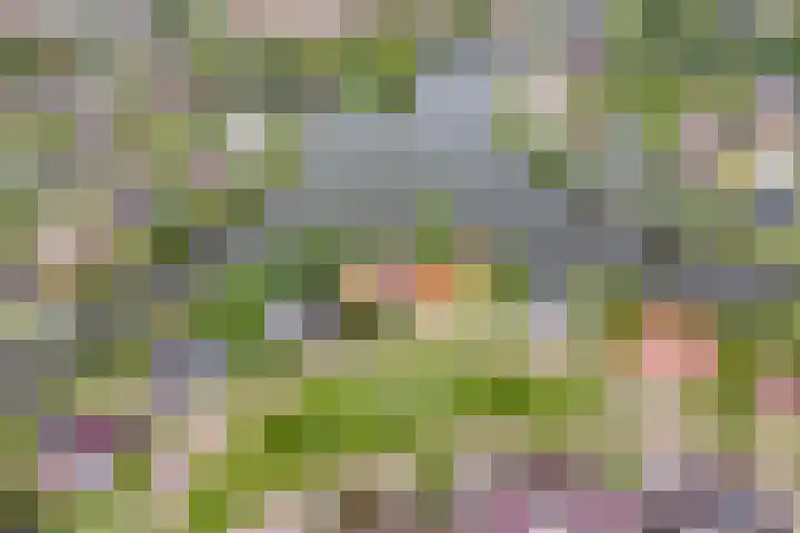 Vogelzwin 20 Sneek thumbnail 55