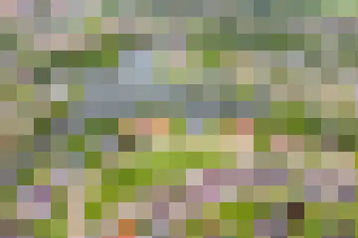 Vogelzwin 20 Sneek thumbnail 56