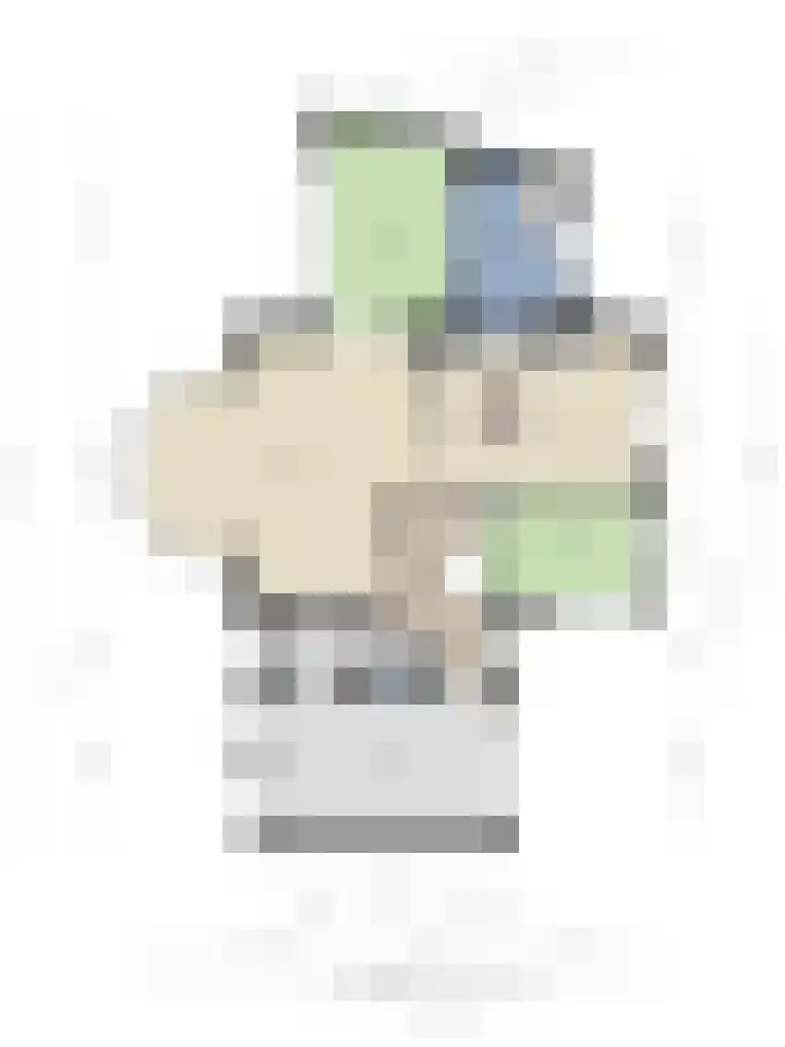 Vogelzwin 20 Sneek thumbnail 59