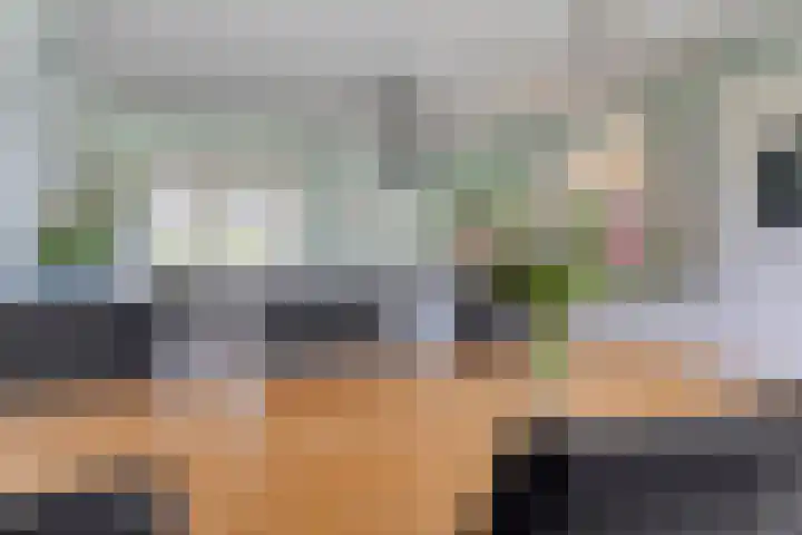 Vogelzwin 20 Sneek thumbnail 6