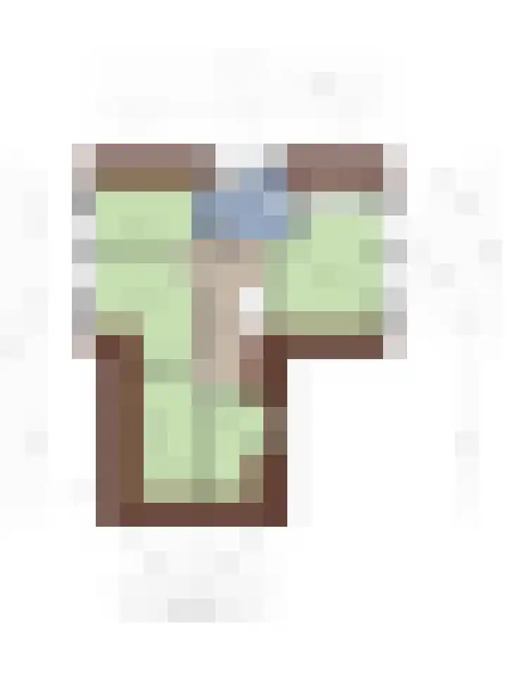 Vogelzwin 20 Sneek thumbnail 61