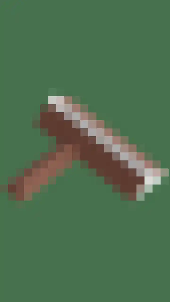 Vogelzwin 20 Sneek thumbnail 64