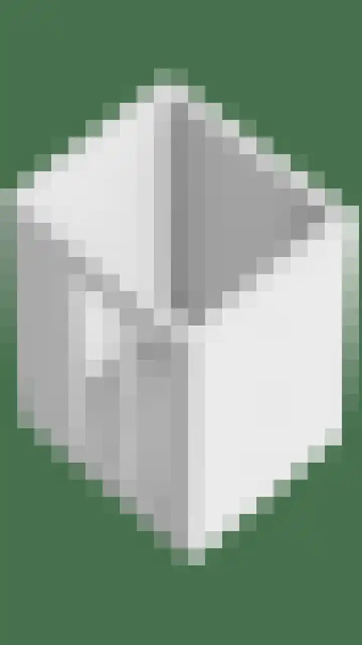 Vogelzwin 20 Sneek thumbnail 66