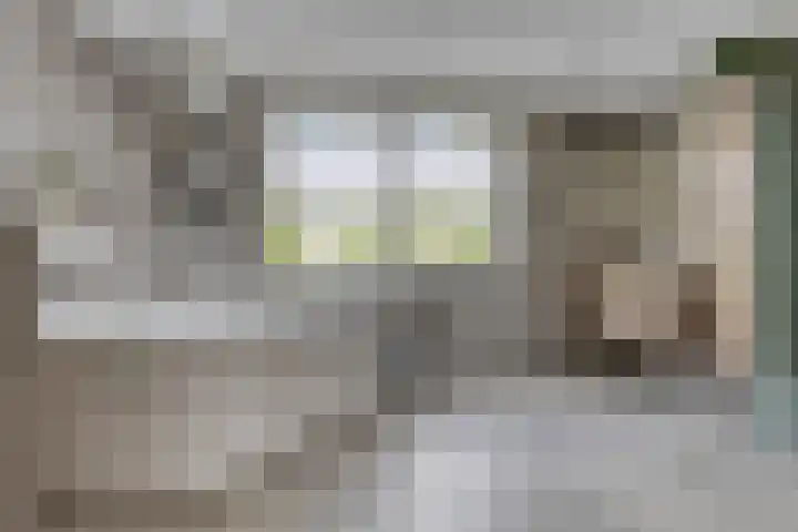 Vogelzwin 20 Sneek thumbnail 7