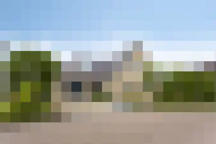 Vogelzwin 20 Sneek thumbnail 8