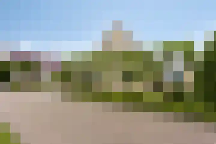 Vogelzwin 20 Sneek thumbnail 9