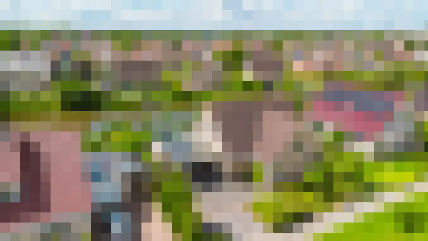 Vogelzwin 24 Sneek thumbnail 13