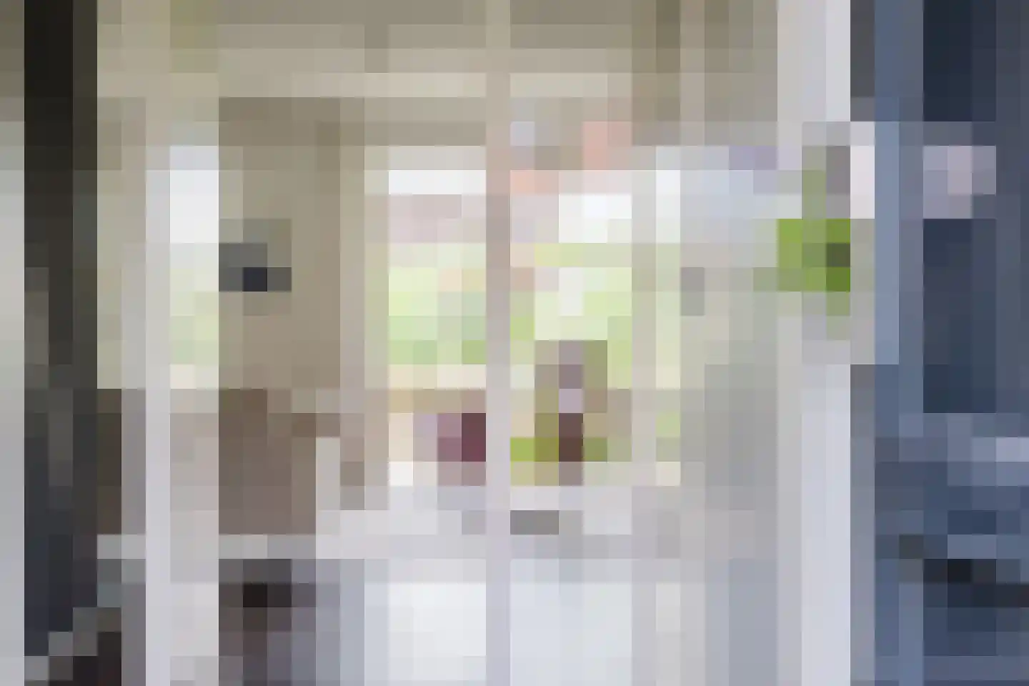 Vogelzwin 24 Sneek thumbnail 14