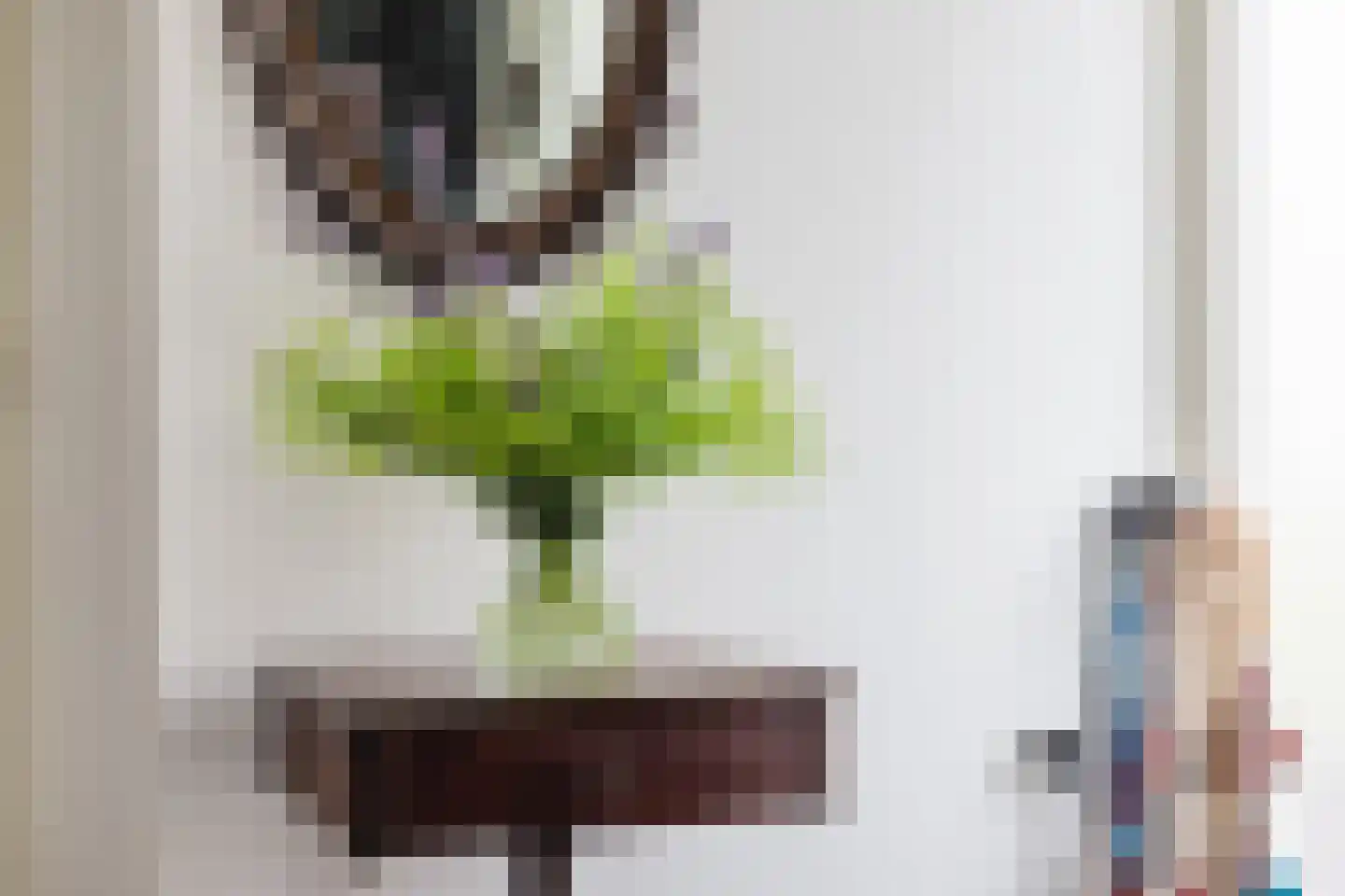 Vogelzwin 24 Sneek thumbnail 17