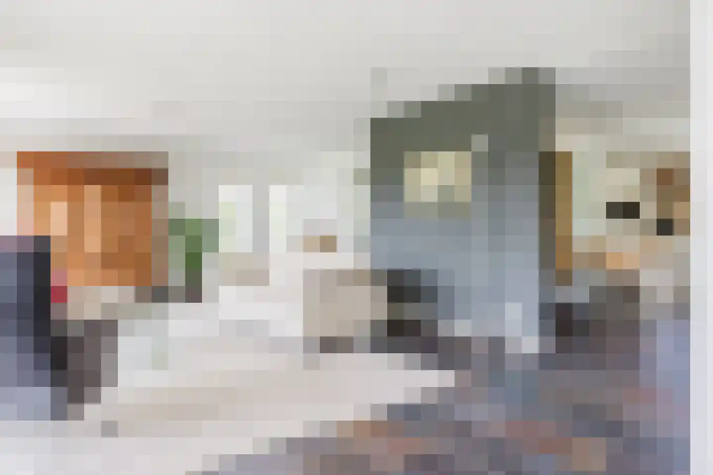 Vogelzwin 24 Sneek thumbnail 19
