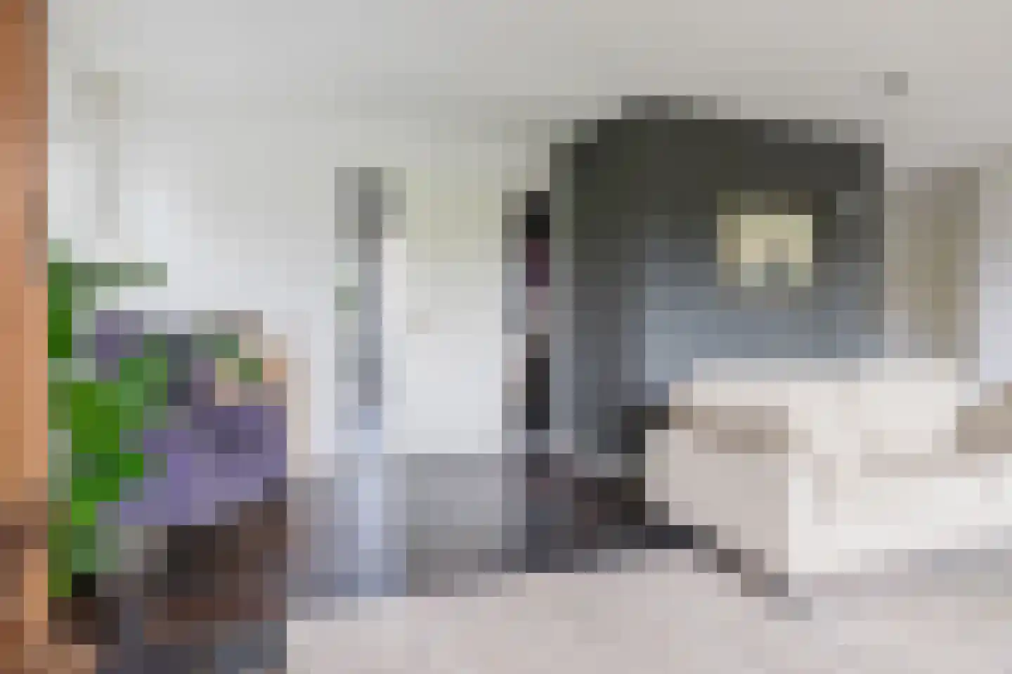 Vogelzwin 24 Sneek thumbnail 21