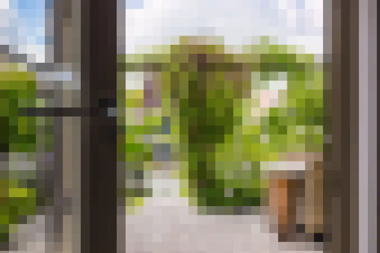 Vogelzwin 24 Sneek thumbnail 25