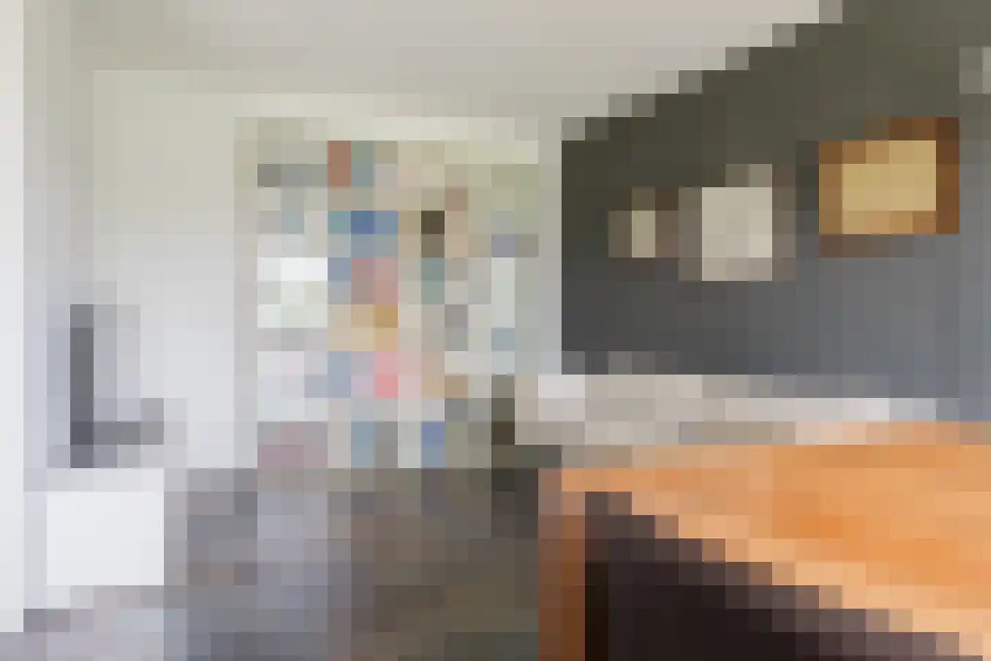 Vogelzwin 24 Sneek thumbnail 29