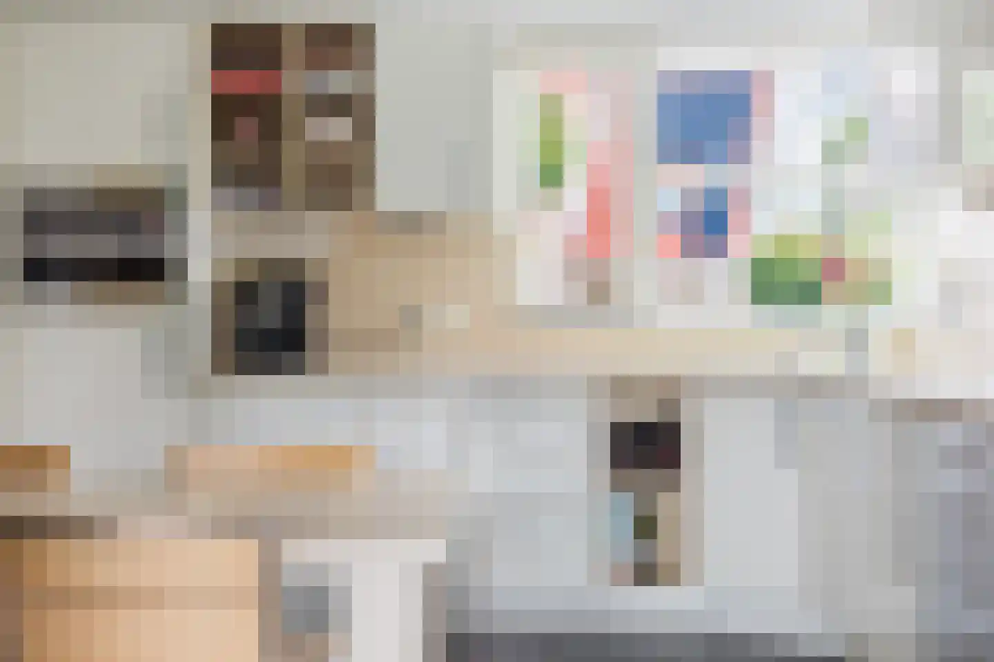 Vogelzwin 24 Sneek thumbnail 30