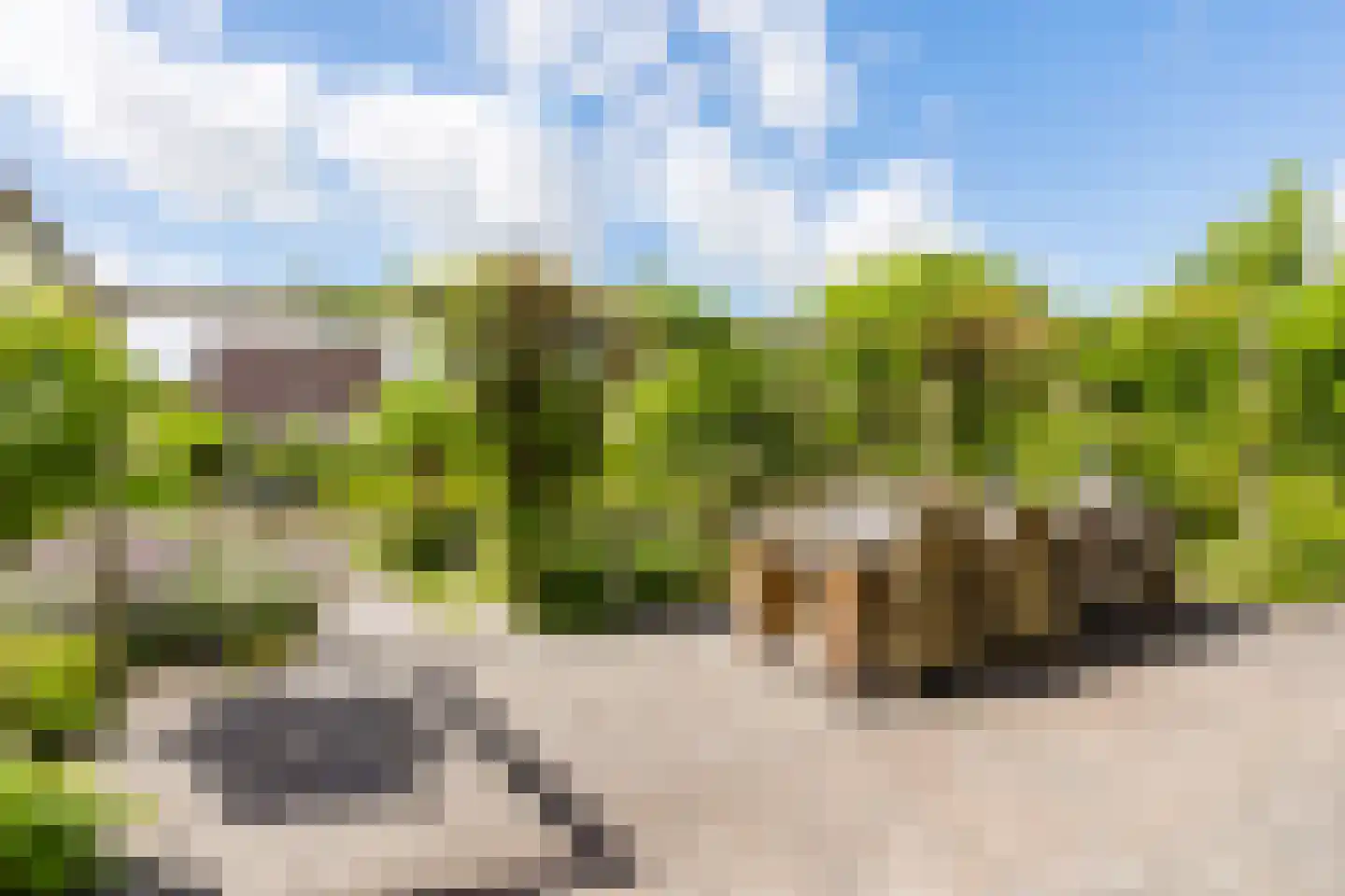 Vogelzwin 24 Sneek thumbnail 4