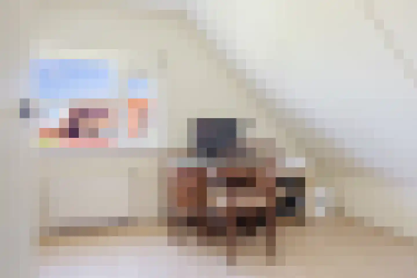 Vogelzwin 24 Sneek thumbnail 40