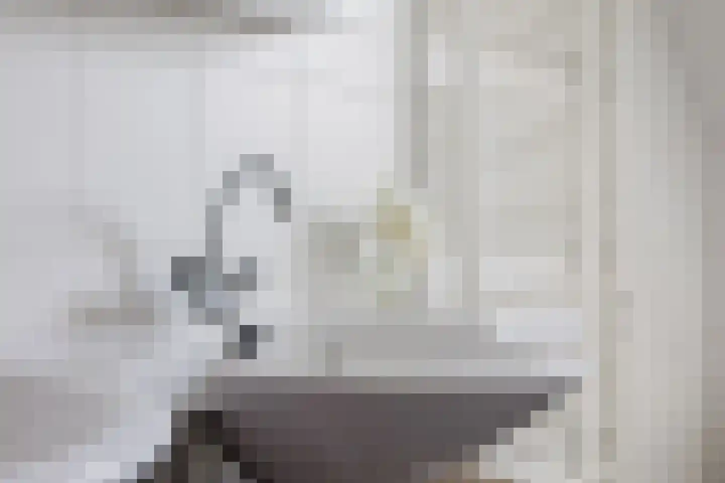 Vogelzwin 24 Sneek thumbnail 45